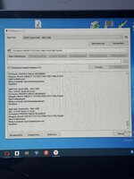 IMG_8017.jpeg