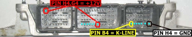 IMG_1081.png