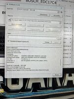 IMG_1279.jpeg