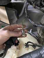 IMG_5147.jpeg