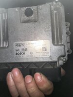 IMG_0908.jpeg