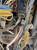 IMG_20250919_124439.jpg