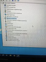 IMG_5410.jpeg