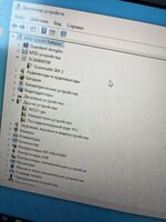 IMG_5413.jpeg