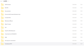 BYD.png