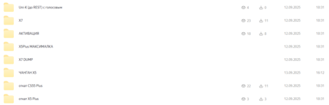 Changan (2).png