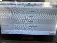 IMG_8291.jpeg