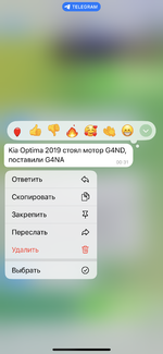 IMG_5245.png