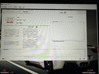 IMG_3902.jpeg