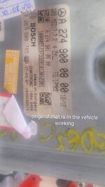 IMG_20251009_070213794_AE~2.jpg