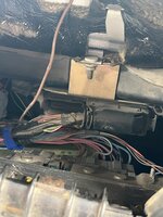 IMG_3101.jpeg