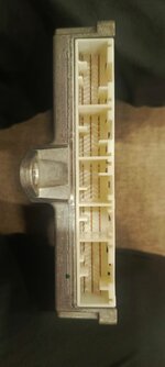 WhatsApp Image 2025-10-13 at 17.13.00.jpeg