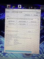IMG_3675.jpeg