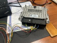 IMG_3139.jpeg
