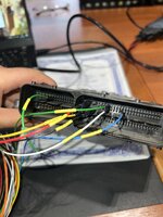 IMG_3147.jpeg