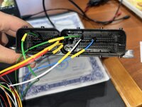 IMG_3152.jpeg