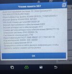 IMG_2008.jpeg