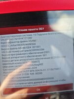 IMG_20251016_141541.jpg