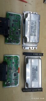 IMG_20251012_194857.jpg