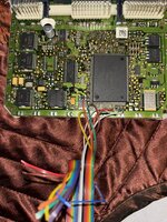 IMG_3255.jpeg