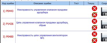 калина сток.jpg