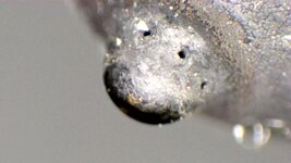 Каптива 867 ф4.jpg