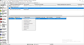 Скриншот программы INSITE с проблемой.png