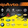 Chip_auto