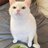 Romas_M